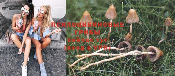 спиды Сосновка
