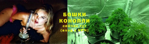 эйфоретик Новодвинск