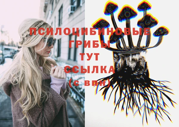 ешки Новокубанск