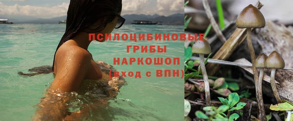 альфа пвп Новозыбков