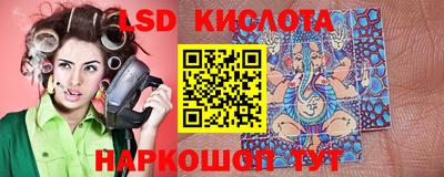 спиды Камышлов