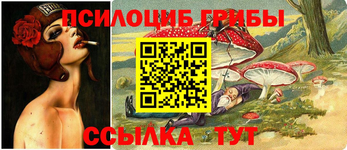 Псилоцибиновые грибы Cubensis  Вход с VPN  где найти   Павлово  Галлюциногенные грибы Magic Shrooms 