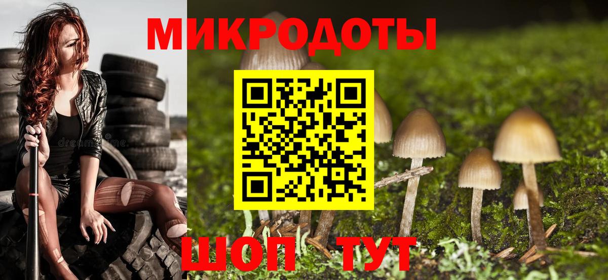 Псилоцибиновые грибы Psilocybe  Павлово 